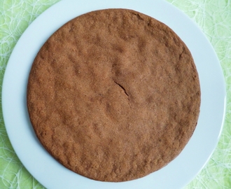 gâteau moelleux diététique sans gluten à la caroube avec protéines de soja et Sukrin (sans oeufs ni beurre ni lait ni sucre)