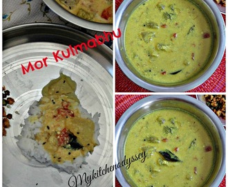 Mor kulambhu/Ash gourd Yoghurtgravy/Iyengar style