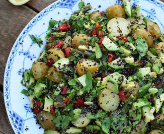 Kartoffelsalat med quinoa og grønt