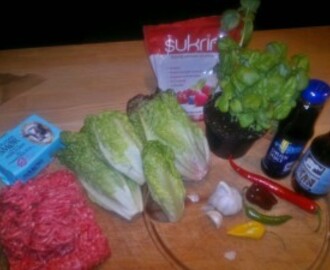 Spicy Thai Salat med Hakket Kød