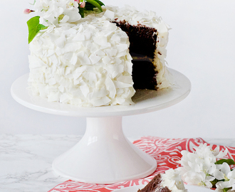 Chocolate Coconut Cake with Coconut Frosting