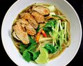 Asian Duck and Noodle Soup