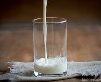 Horchata Thermomix