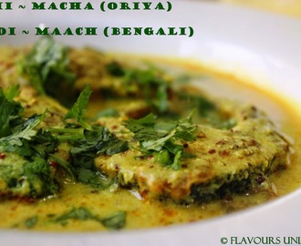 Doi Maach | Dahi Macha | Dahi Machli | Fish in Curd Gravy