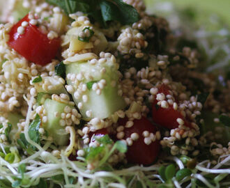 Sprouted Quinoa Tabbouleh