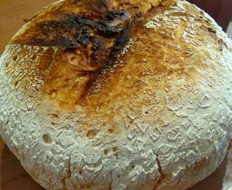 Pan sin gluten en Olla GM y Cecomix