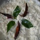 Biriyanis, fried Rice, Nodules