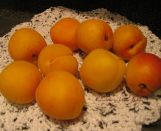 Carrés aux abricots, Noix de coco et Macadamia