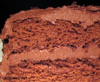 facile recette gâteau au chocolat