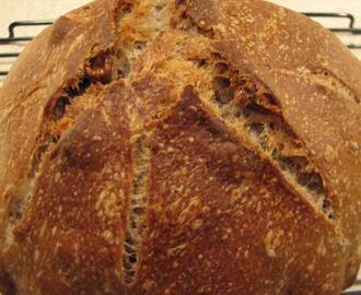 Sourdough (Wild Yeast) Bread