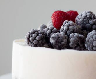 Bolo Gelado de Iogurte | Yogurt Ice Cream Cake