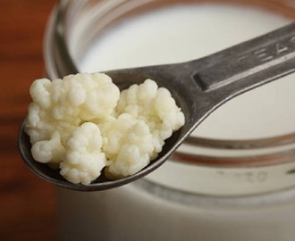 ¿Cómo hacer kéfir de leche casero? Propiedades y beneficios del kéfir