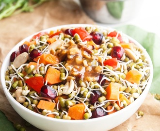 Sprouted Mung Bean Salad with Creamy honey peanut dressing
