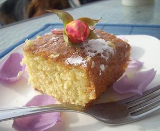 Vanilla and rice flour cake and a... guest writer post!