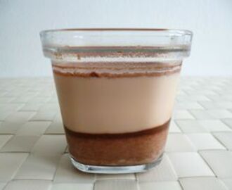 yaourts bifidus maison allégés au chocolat au lait et aux fibres de maïs (sans sucre)