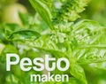 Recept zelf Pesto maken         |          De Boon in de Tuin