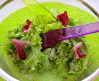 Salade au magret de canard et graines