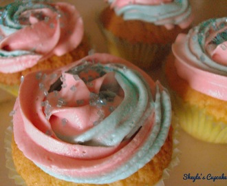 Premio al blog y cupcakes bicolor!