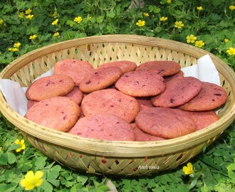 COLOURFULLY HEALTHY BEET COOKIES, A VISIT TO CORBETT'S LAND AND BIRD WATCHING