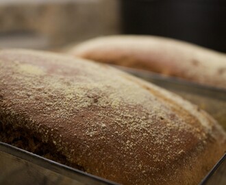 Pão Australiano (tipo Aussie Bread do Outback)