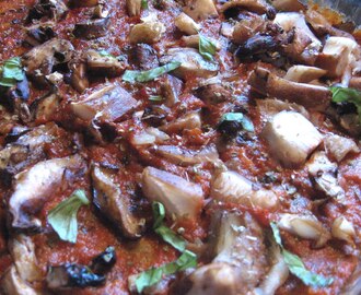 Eggplant Lasagna Medley