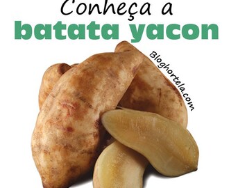 Batata Yacon