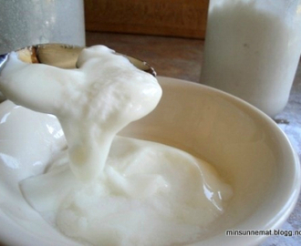 Hjemmelaget yoghurt av kokosmelk