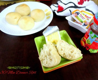 30 Minute Dinner Rolls ~ Step by Step Pictures to make Rolls under 30 Min!