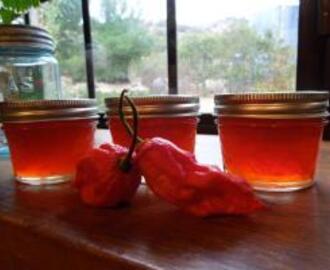 Ghost Pepper Jelly!