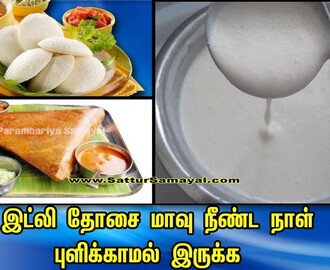 இட்லி தோசை மாவு நீண்ட  நாள் புளிக்காமல் இருக்க |Samayal Tips | Tamil | -  Sattur Parambariya Samayal