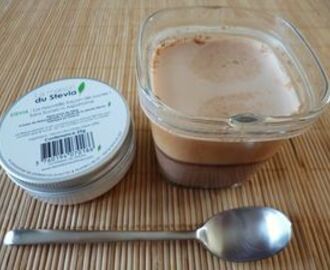 yaourts maison diététiques à l'extrait de stévia et au Nutrichoco (sans sucre)