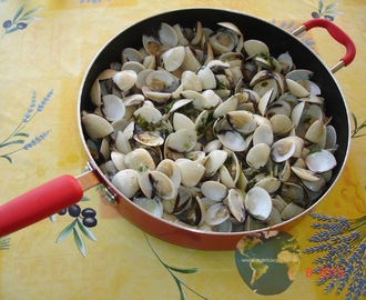 Amêijoas -  Um dos mariscos típicos do verão português