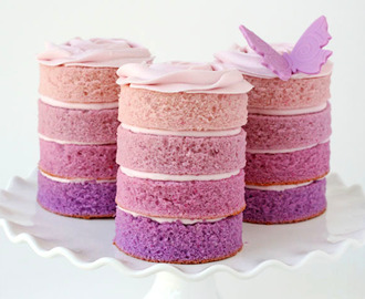 Purple Ombre Mini Cakes