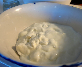 Homemade yogurt