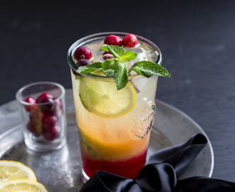 Cranberry Mojito – Holiday Mocktail