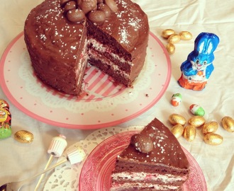 gâteau chocolat, framboises et copeaux de chocolat