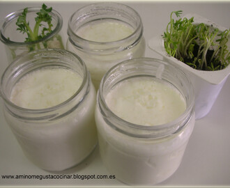 Yogur cremoso con leche condensada (para yogurtera)