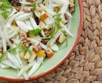 Frisse en snelle Venkel Appel Salade