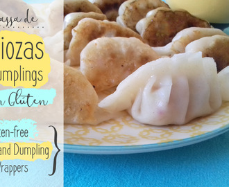 Massa de Guiozas e Dumplings Sem Glúten – Gluten-free Gyoza and Dumpling Wrappers