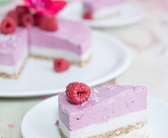 Raw Raspberry Cashew Cheesecake (vegan, glutenfrei, zuckerfrei) – ein cremiger Traum in Rosa zur Flamingo-Mottoparty
