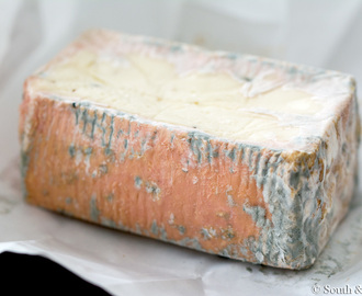 Italiaanse kaas onder de loep: taleggio