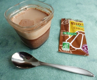 yaourts-flans maison diététiques au bio-flan chocolat et à la stévia (sans sucre ni lait en poudre)