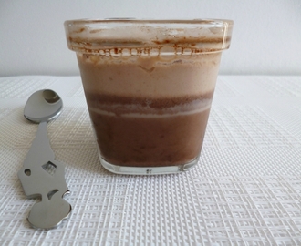 yaourts maison de soja au cacao avec stévia et inuline (sans sucre)