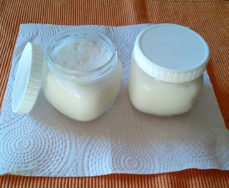 Iogurte de Coco (caseiro e sem lactose)