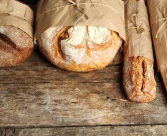 Zelf brood bakken: 10 ovenverse recepten