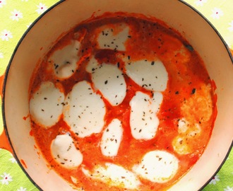 kipfilet met tomatensaus, mozzarella en oregano, pollo alla pizzaiola con mozzarella
