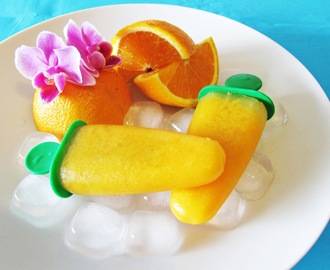 Na minha cozinha nunca falta... #18 Formas p/ gelados - Picolé de laranja