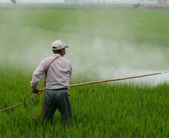 Die Pestizidlüge