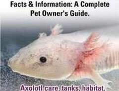 Axolotl. Axolotl Care, Tank...