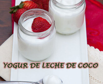 Receta: Como hacer yogur de leche de coco? Yogur Paleo, sin lactosa
